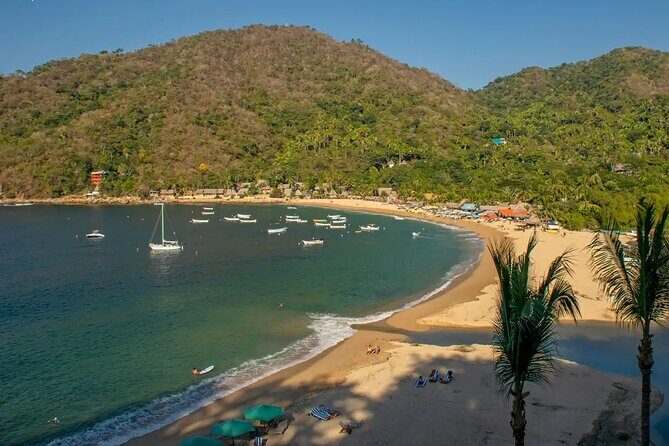 Puerto Vallarta: Private Yelapa Beach & Snorkel Tour on a Yacht - Who Is This Tour Perfect For?