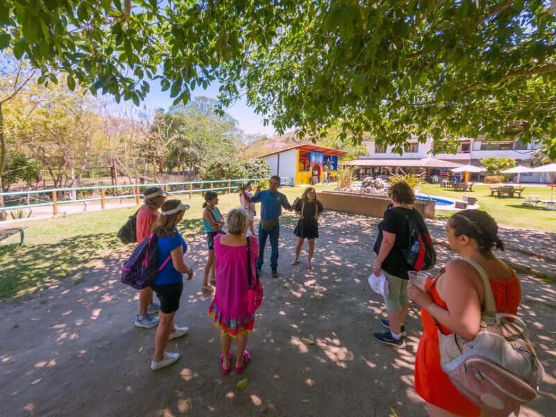 Puerto Vallarta: Sayulita and San Pancho Beaches Tour - The Sum Up