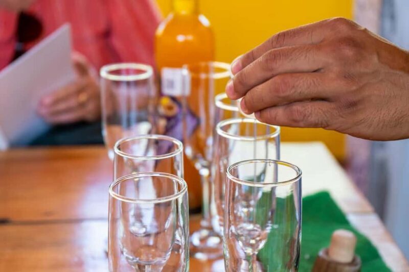 Puerto Vallarta: Sayulita and San Pancho Beaches Tour - FAQs