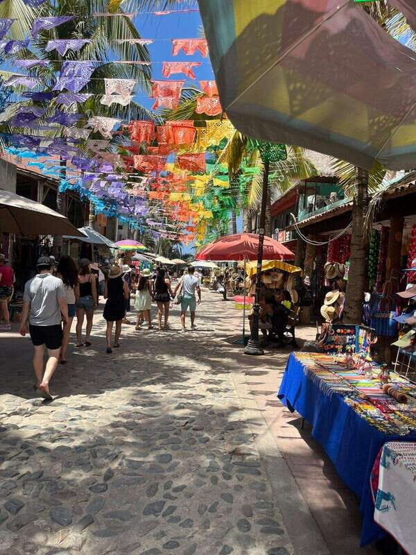 Puerto Vallarta: Sayulita and San Pancho Day Trip - Who Will Enjoy This Tour?