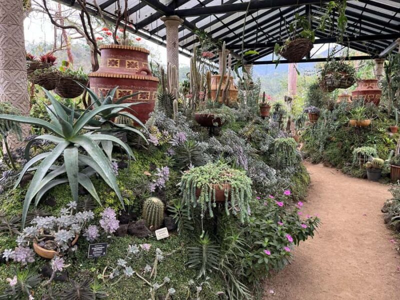 Puerto Vallarta: Sayulita & San Pancho Private Day Tour - An Authentic Day Trip from Puerto Vallarta