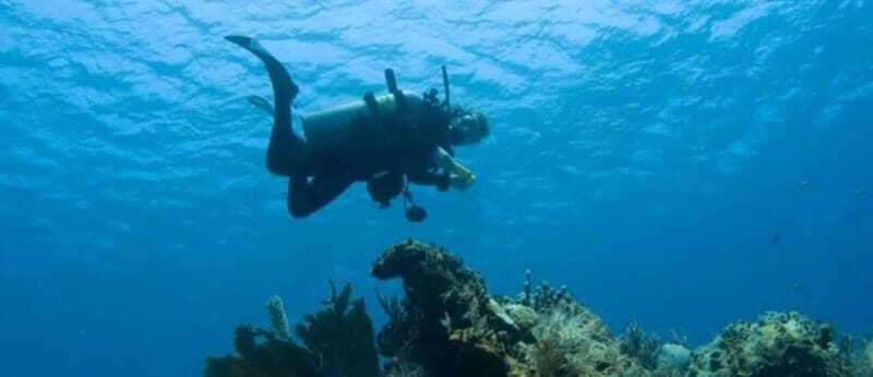 Puerto Vallarta: Scuba Dive at Los Arcos - Setting the Scene: What to Expect on Your Day