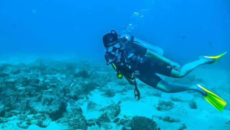 Puerto Vallarta: Scuba Dive at Los Arcos - The Practical Side: Gear, Food, and Group Size