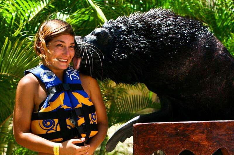 Puerto Vallarta: Sea Lion Discovery at Aquaventuras Park - Frequently Asked Questions