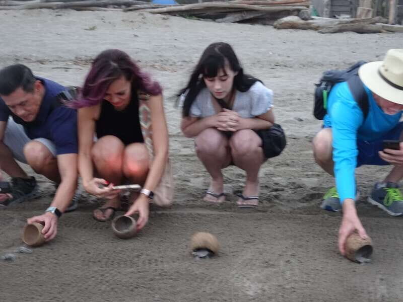 Puerto Vallarta: Sea turtle release at Sunset - The Experience: A Deep Dive into the Tour