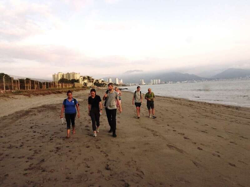 Puerto Vallarta: Sea turtle release at Sunset - What Travelers Say: Authentic Perspectives