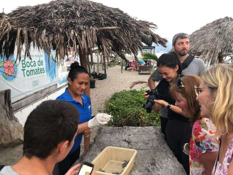 Puerto Vallarta: Sea turtle release at Sunset - FAQ
