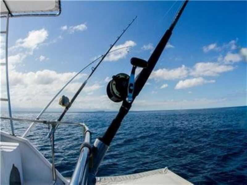 Puerto Vallarta: Shared Fishing - Who Will Love This Tour?