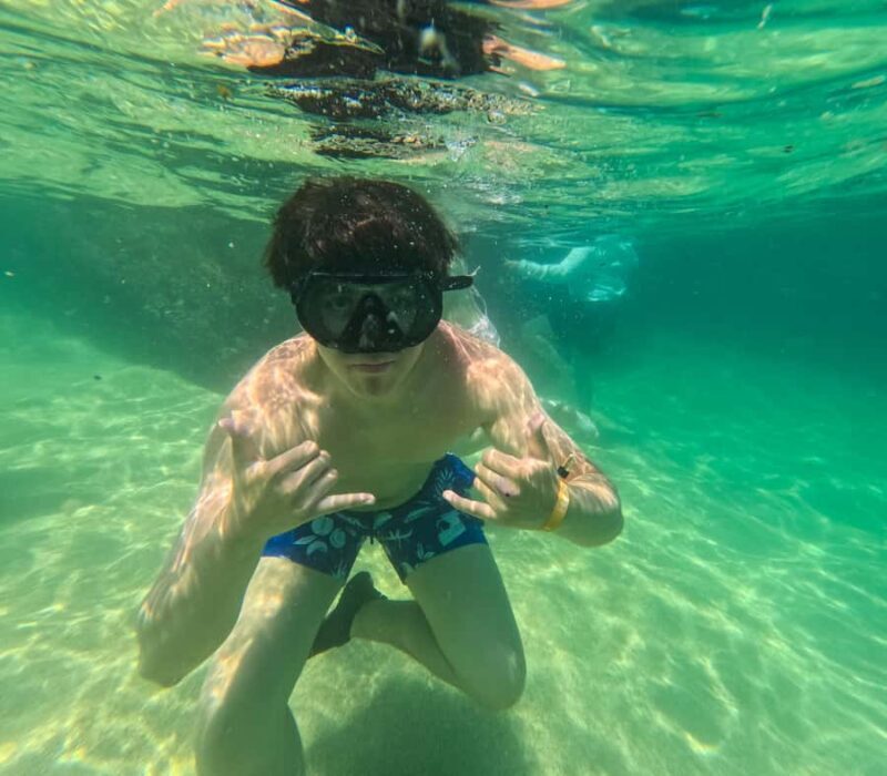 Puerto Vallarta: Snorkel in Colomitos Beaches & Canopy Tour - A Complete Look at the Experience