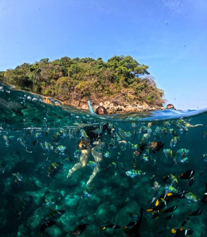 Puerto Vallarta: Snorkel With Tropical Fishes & Canopy Tour - An In-Depth Look at the Tour Experience