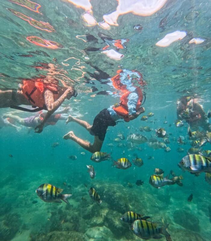 Puerto Vallarta: Snorkel With Tropical Fishes & Canopy Tour - The Sum Up