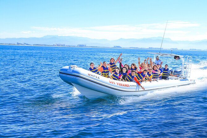 Puerto Vallarta Speedboat and Box Lunch Whale Tour - The Sum Up