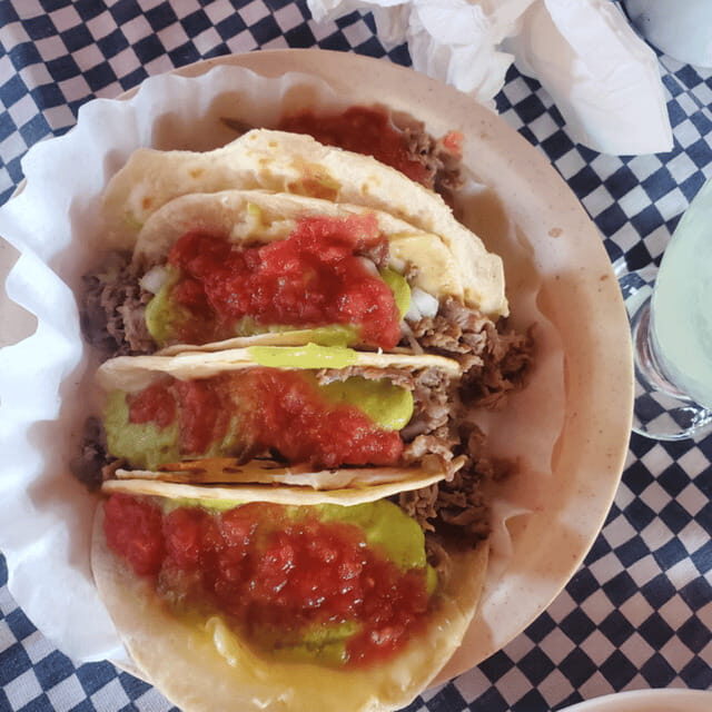 Puerto Vallarta: Taco Tour Experience - Key Points