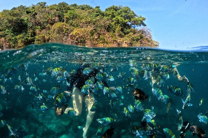 Puerto Vallarta: Tropical Fish Snorkeling and Zipline Tour - Exploring the Puerto Vallarta Tropical Fish Snorkeling and Zipline Tour