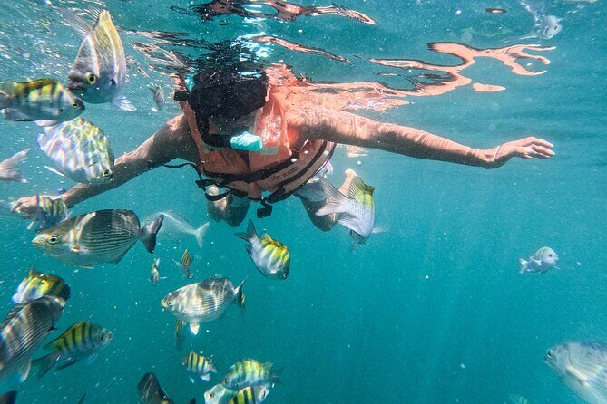 Puerto Vallarta: Tropical Fish Snorkeling and Zipline Tour - Why This Tour Might Be Perfect for You