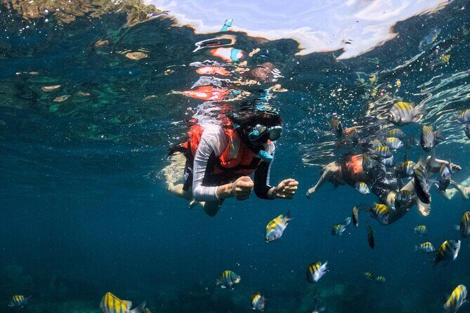 Puerto Vallarta: Tropical Fish Snorkeling and Zipline Tour - The Sum Up: Is This Tour Worth It?
