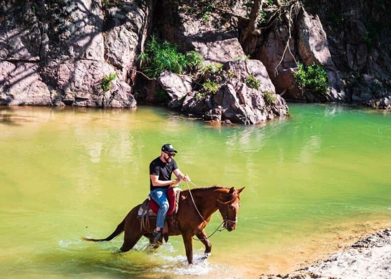 Puerto Vallarta: Tropical Forest Horseback Ride - What’s the Value?