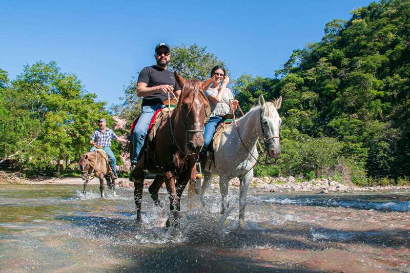 Puerto Vallarta: Tropical Forest Horseback Riding Adventure - An In-Depth Look at the Experience