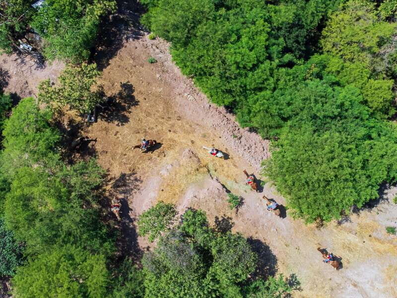 Puerto Vallarta: Tropical Forest Horseback Riding Adventure - FAQ