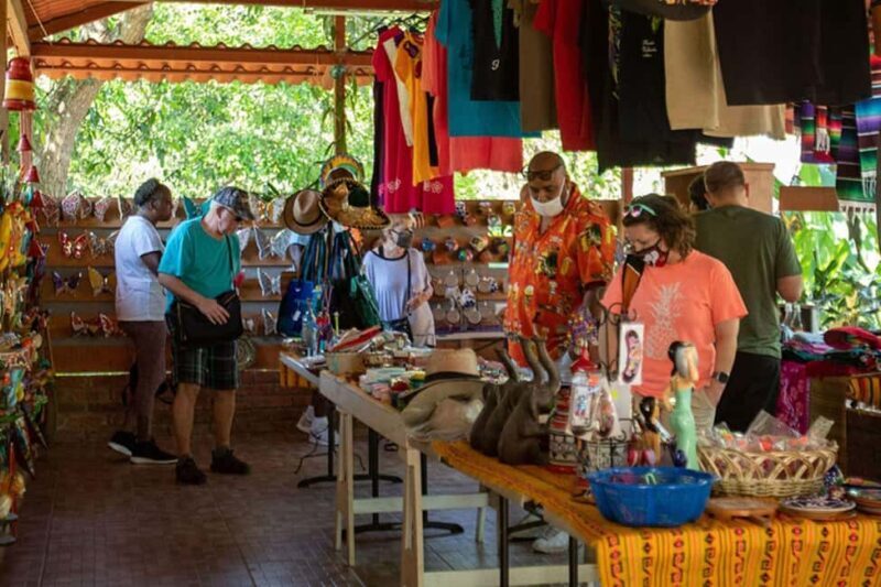 Puerto Vallarta: Tropical Tour - How the Day Unfolds