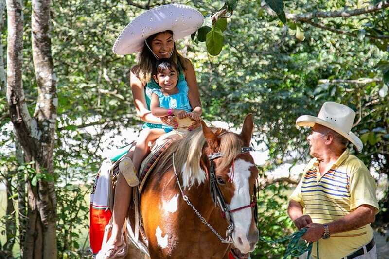 Puerto Vallarta: Tropical Tour - Final Thoughts: Who Is This Tour Best For?