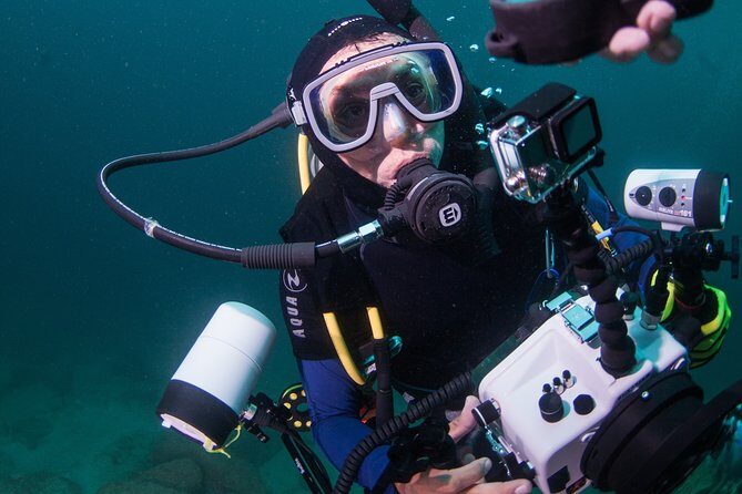 Puerto Vallarta Undersea Private Scuba Diving - The Experience from a Traveler’s Perspective