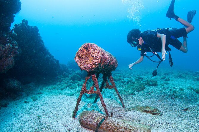 Puerto Vallarta Undersea Private Scuba Diving - Final Impressions