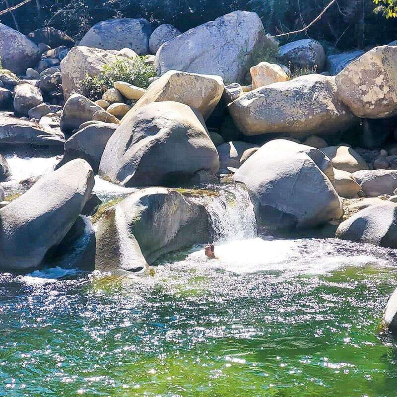 Puerto Vallarta: Vallarta's Botanical Garden by Sea or Land - Final Thoughts: Who Will Love This Tour?