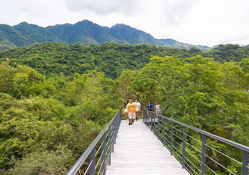Puerto Vallarta: Walking Tour to Glass ViewPoint Jorullo - Who Will Love This Tour?