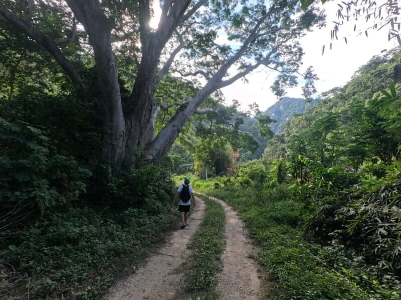Puerto Vallarta: Waterfall Trail A Journey to the Essence of Nature - An Authentic Nature Escape in Puerto Vallarta