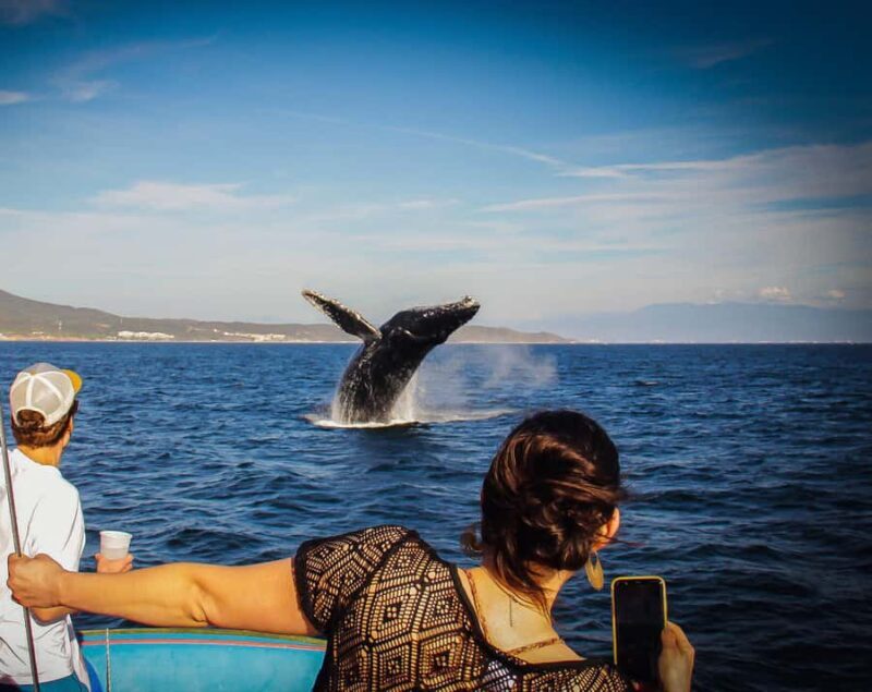 Puerto Vallarta: Whale Watching All Inclusive Experience - An In-Depth Look at the Puerto Vallarta Whale Watching Experience