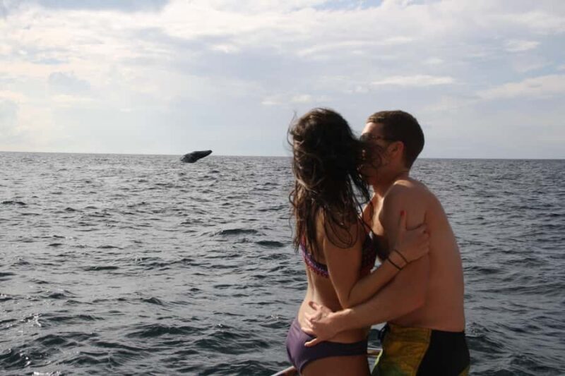 Puerto Vallarta: Whale Watching All Inclusive Experience - Final Takeaway
