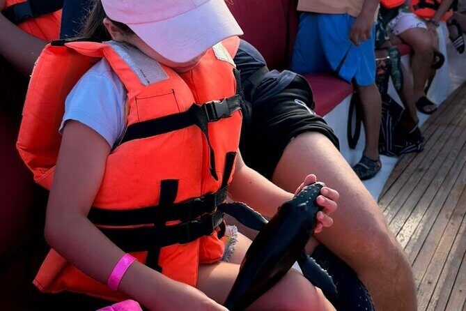 Puerto Vallarta Whale Watching Tour - Authentic Traveler Feedback