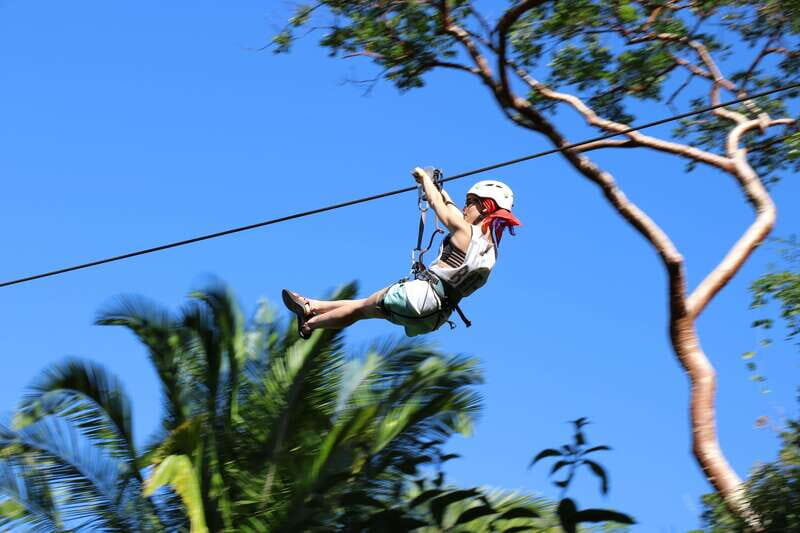 Puerto Vallarta: Zipline Canopy Tour - Introduction: A High-Flying Adventure in Puerto Vallarta