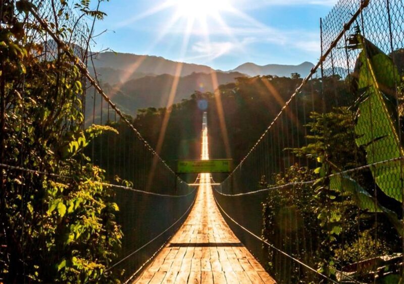 Puerto Vallarta: ZipLine for Cruise Ship Passengers - FAQ