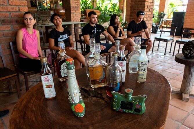 Puerto Vallarta Zipline, Mule ride and Jorullo Bridge Walking - Who Should Consider This Tour?