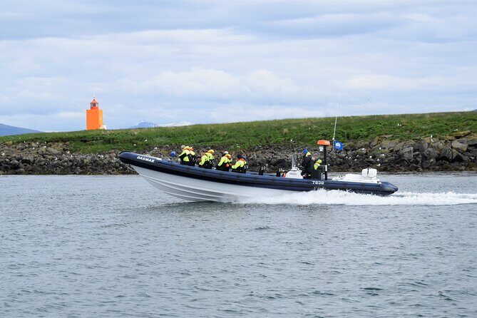 Puffin Express by RIB Speedboat from Reykjavík - Key Points