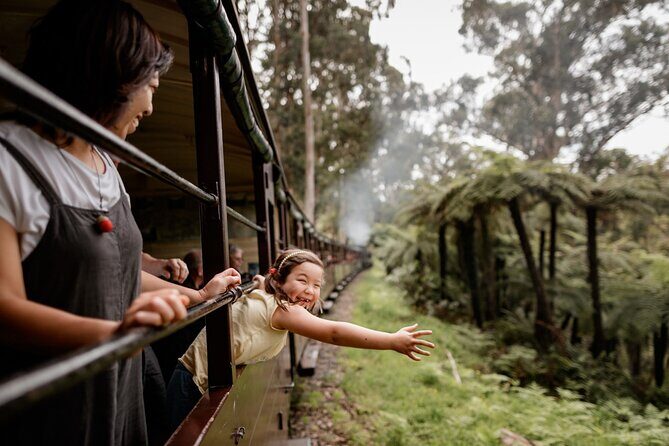 Puffing Billy, Forest Trails and Yarra Valley Discovery Tour - Warburton and Lunchtime Delights