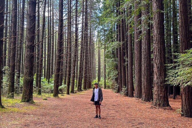 Puffing Billy, Forest Trails and Yarra Valley Discovery Tour - Yarra Valley Wine & Sweet Treats