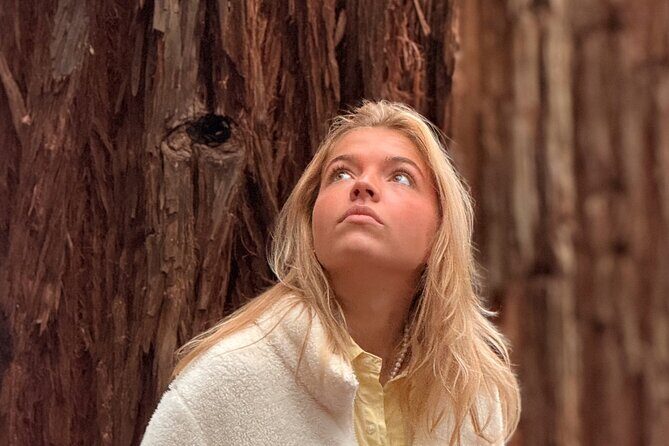 Puffing Billy, Forest Trails and Yarra Valley Discovery Tour - What Travelers Say