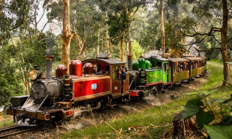 Puffing Billy, Forest Trails & Yarra Valley Discovery Tour - Key Points