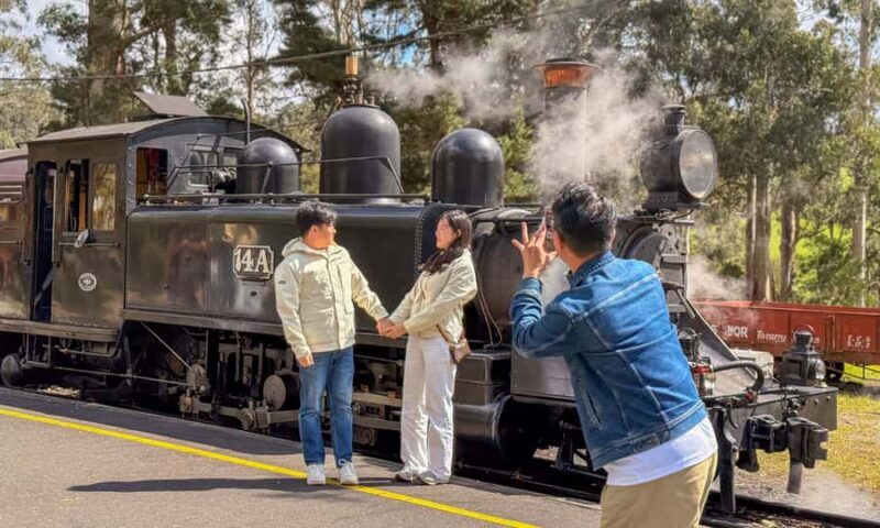 Puffing Billy, Forest Trails & Yarra Valley Discovery Tour - An In-Depth Look at the Tour Experience