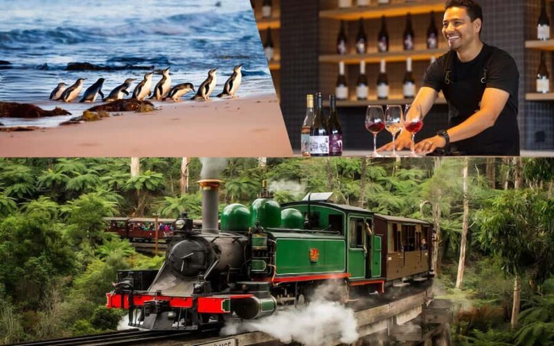 Puffing Billy Penguin Parade Winery Chocolaterie All-in-One - An In-Depth Look at the Tour