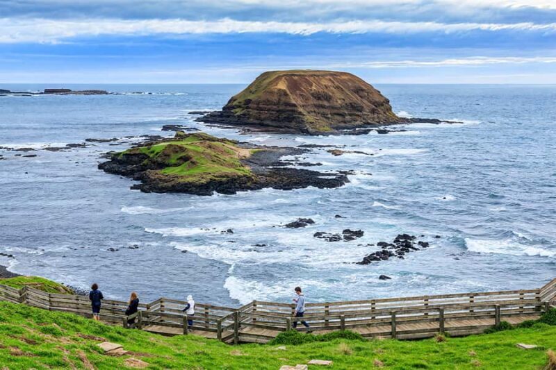 Puffing Billy Penguin Parade Winery Chocolaterie All-in-One - Final Thoughts