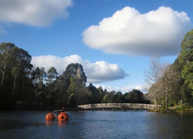 Puffing Billy Penguin Parade Winery Chocolaterie All-in-One - FAQs