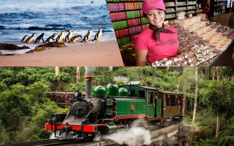 Puffing Billy Penguin Parade Winery Chocolaterie All-in-One - Key Points