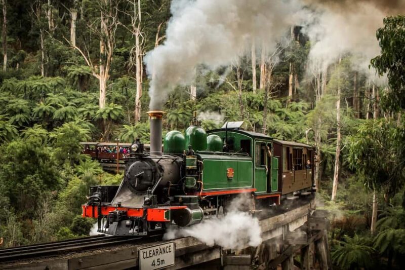 Puffing Billy Penguin Parade Winery Chocolaterie All-in-One - Who Will Love This Tour?