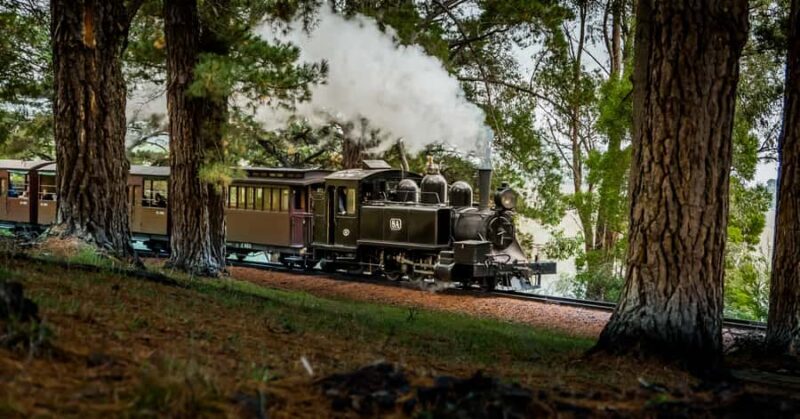 Puffing Billy Railway: Heritage Steam Train Journey - Key Points