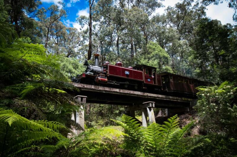 Puffing Billy Railway: Heritage Steam Train Journey - Authentic Experiences That Matter