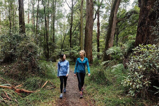 Puffing Billy & Rainforest Tour from Melbourne - Starting Point at Melbourne’s Mail Exchange Hotel